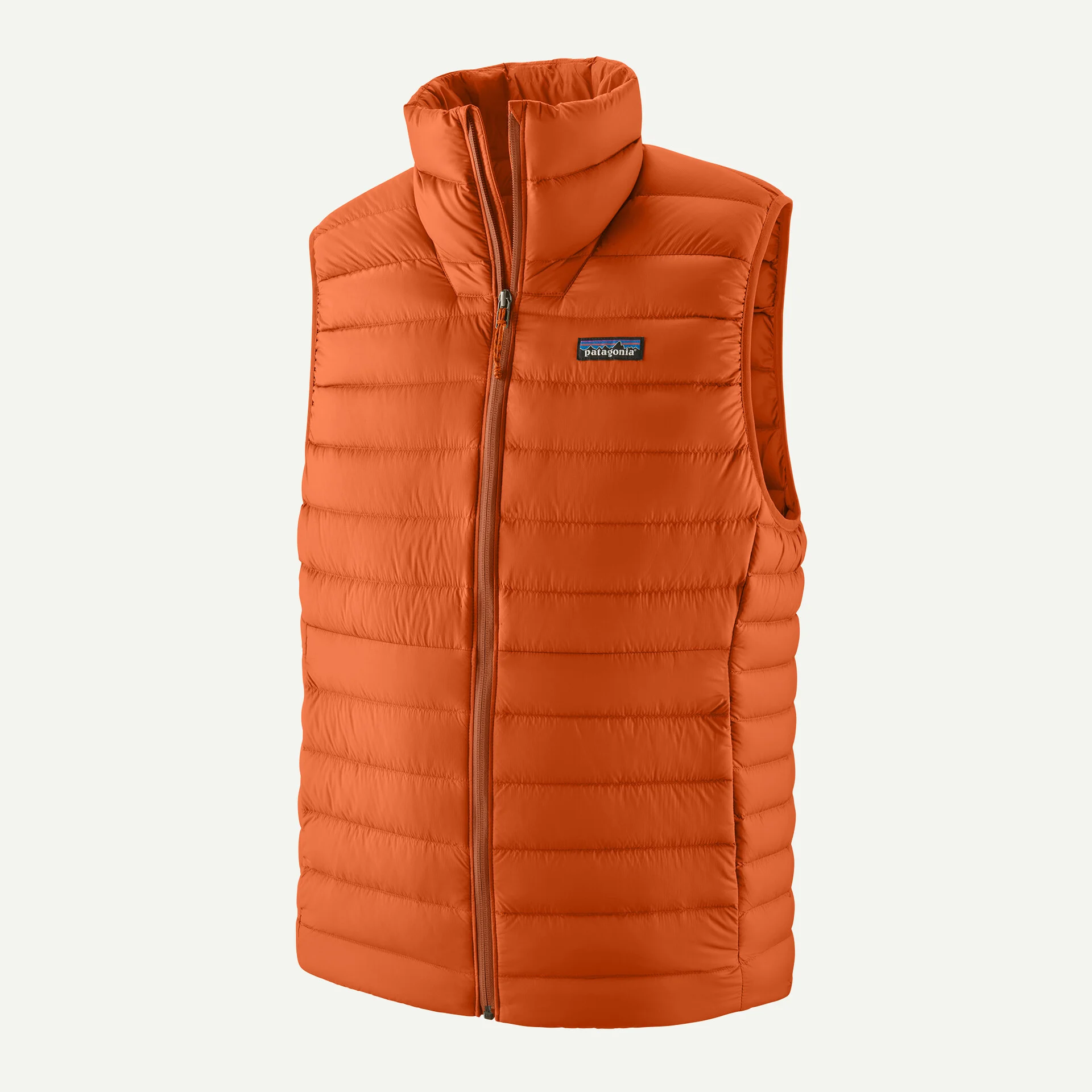 msj_0aLaBtO0dazRvcLrPatagonia%20M's%20Down%20Sweater%20Vest.webp 64721