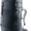 81023