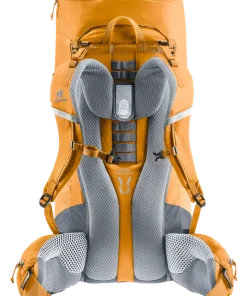 81024