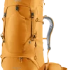 81024