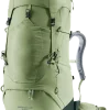 81026